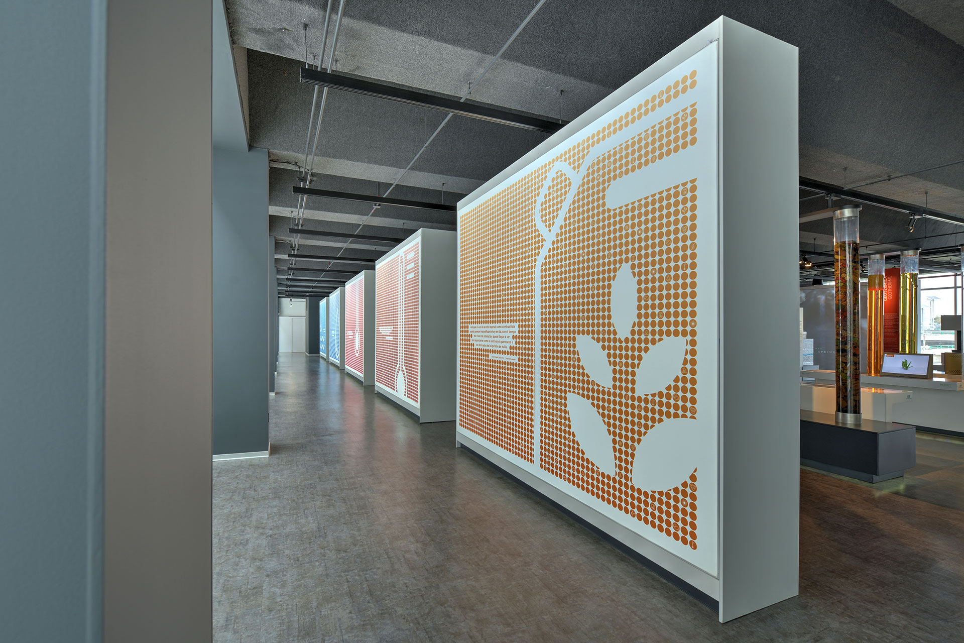 Exposiciones MUNET - Imagen 10