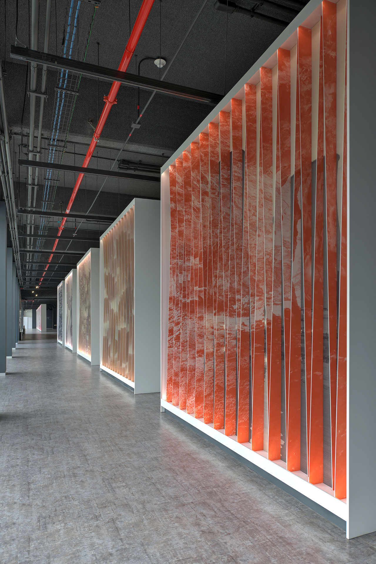 Exposiciones MUNET - Imagen 17